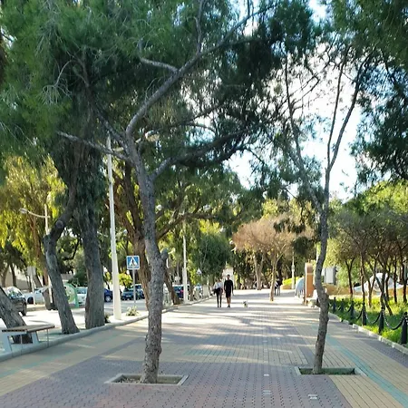 Porticada *