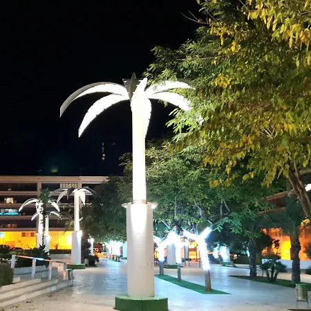 Porticada Guardamar del Segura